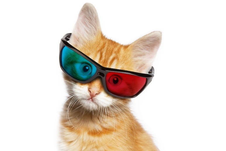 Cat  getty images