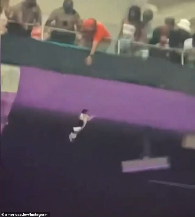 Falling Cat Caught By American Flag
