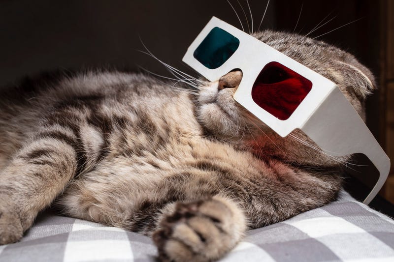 Cat Video 3-D