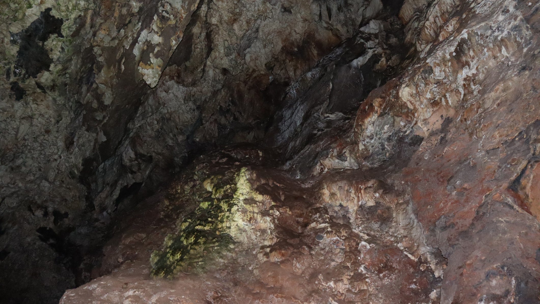 Early human fossils are a million years older than previously known
