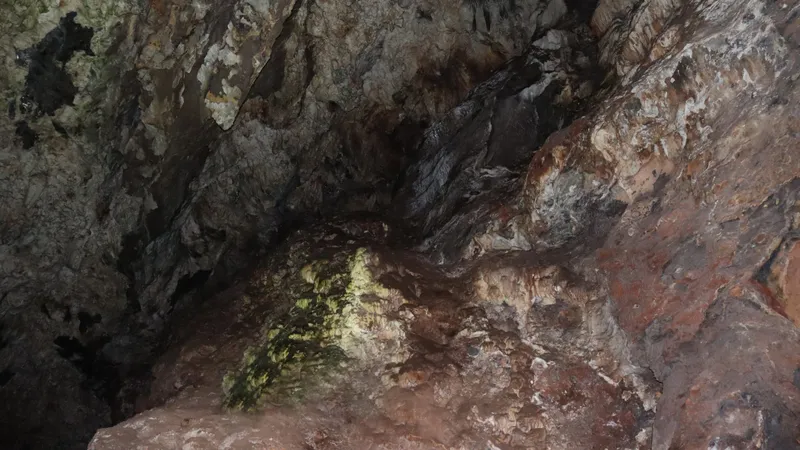 Early human fossils are a million years older than previously known