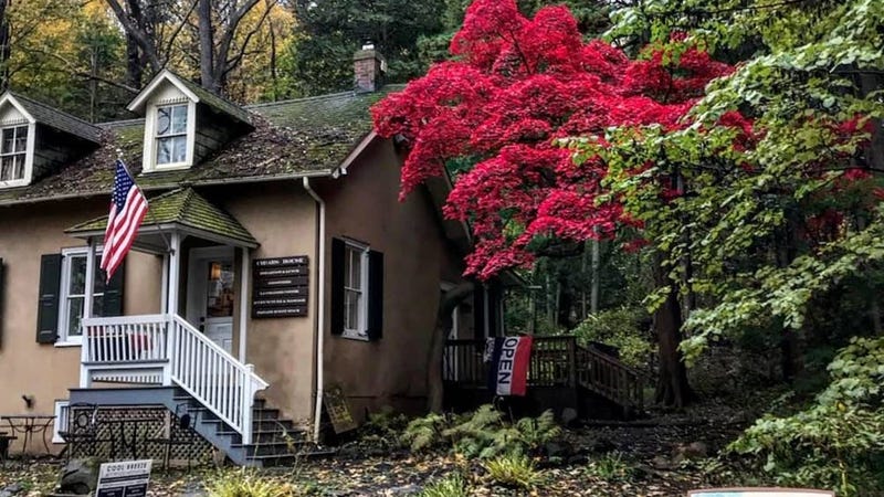 The Cedars House