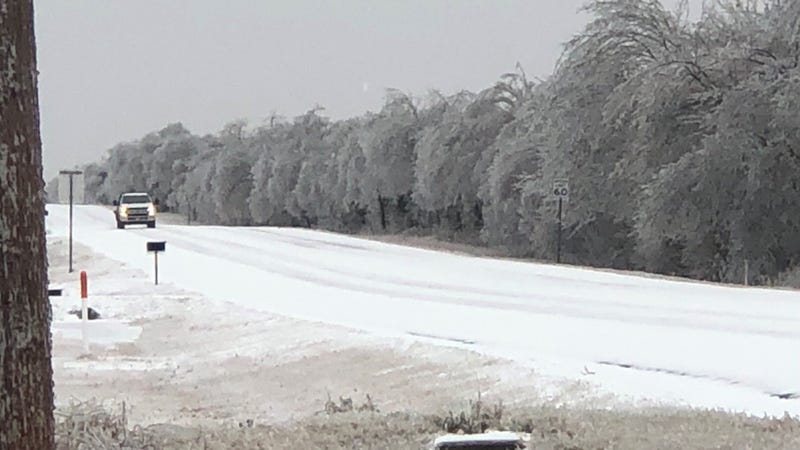 Trees bend under the weight of ice in Celeste, Texas on Feb. 3, 2022.