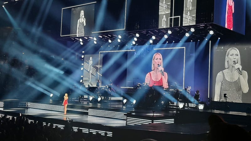 Celine Dion performs at the Smoothie King Center Friday.