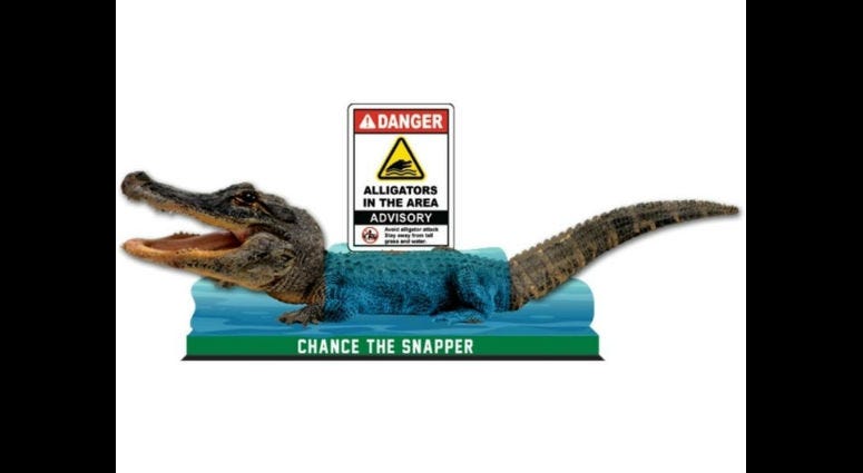 "Chance the Snapper" bobblehead