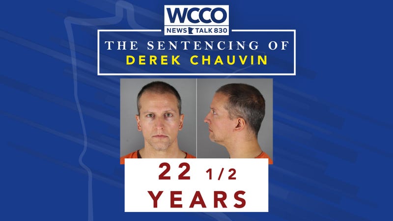 Eric Nelson and Derek Chauvin