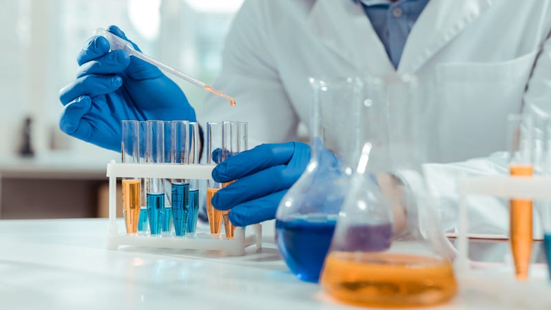 Chemical samples. Close up of test tubes being used by a smart skilled scientist in the chemical lab