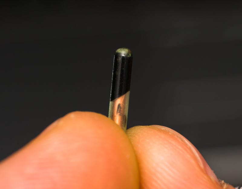 micro chip for pets between fingers