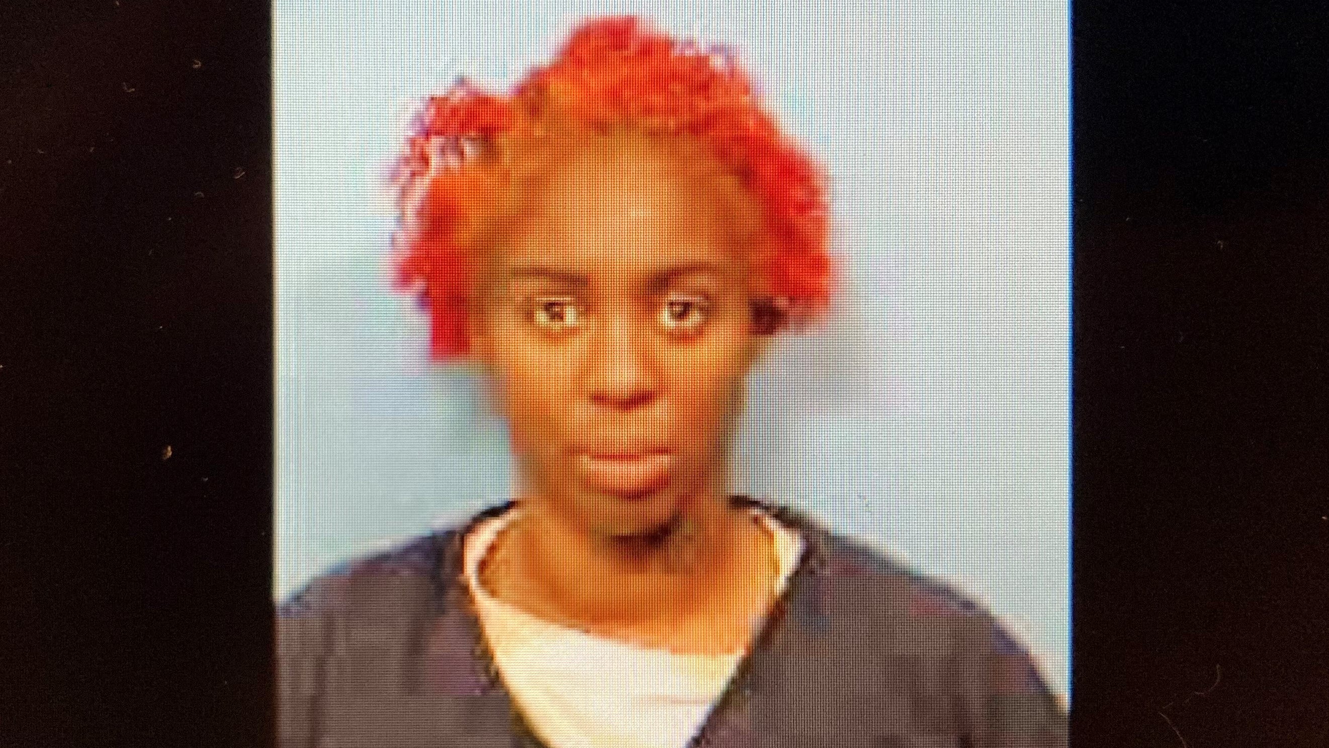 Driver leads police on high-speed chase, causes accident after $378 retail theft: authorities
