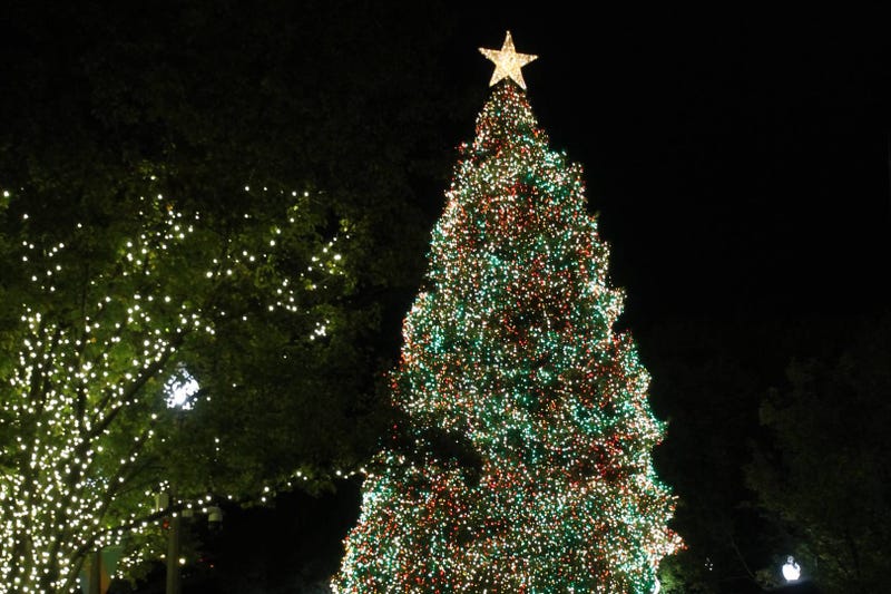Christmas Tree