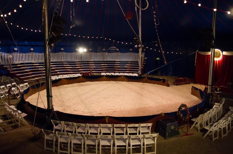 LISTEN: Zor Shrine Circus Trainer's Efforts to Save Tigers; Talks with Jim & Teri about Conservation, Education