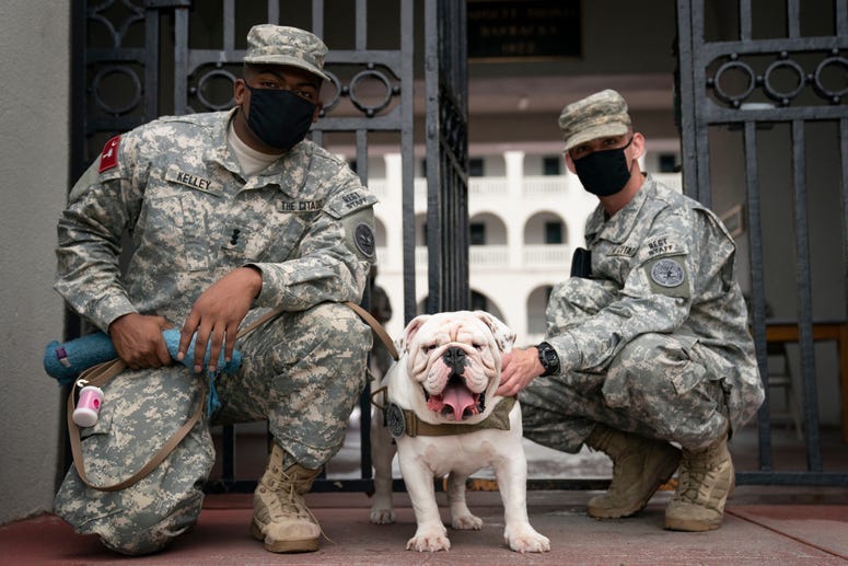 Citadel Mascot G3 with visits with cadets on his first day to begin living on campus Aug. 6 2020.JPG