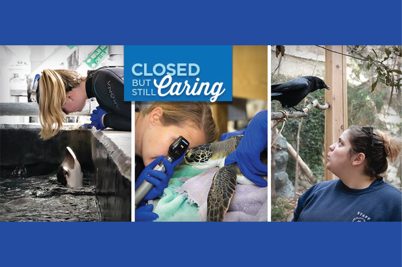 Closed But Still Caring