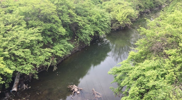 coldwater creek