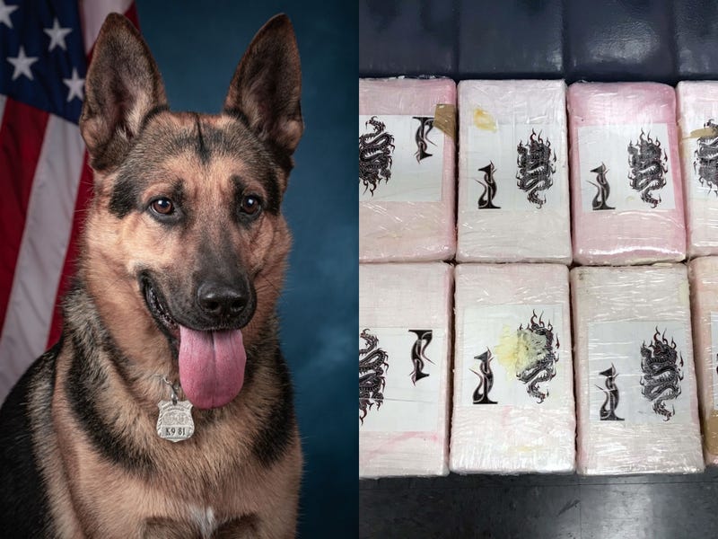 Port Authority Police Department K-9