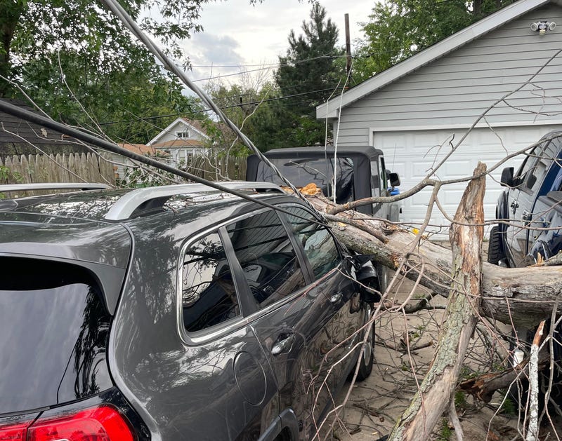 downed power line and tree