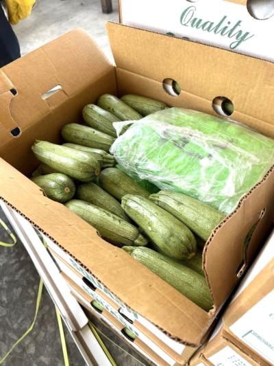 CBP officers discovered 1,419 packages of methamphetamine concealed within the shipment of squash.