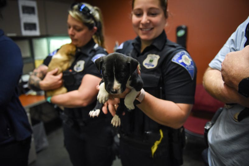 cops with puppies