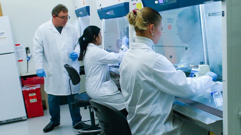 File image of researchers developing test for COVID-19 virus.
