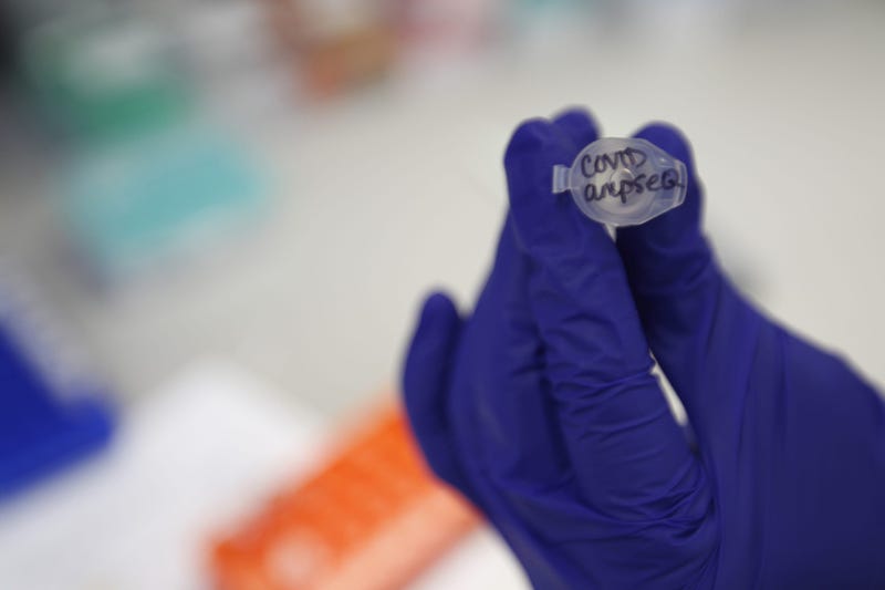 Corona Virus Lab Test