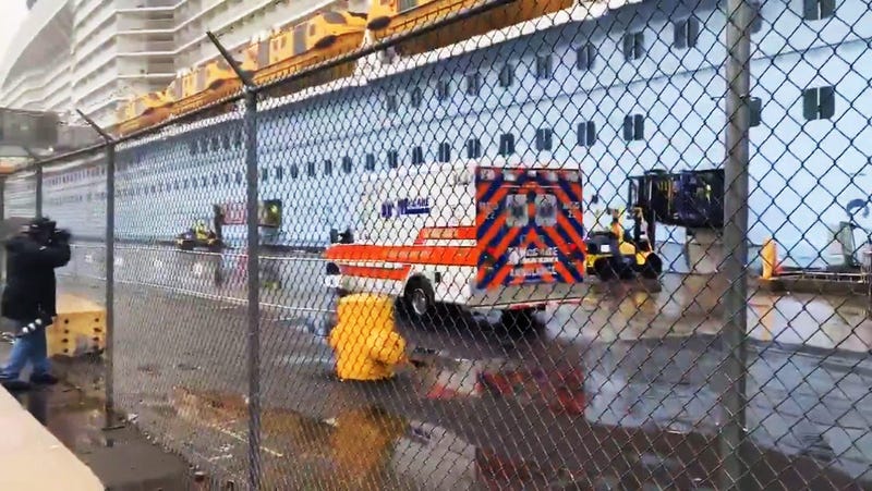Coronavirus cruise ship Bayonne