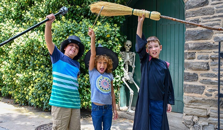 Wizard and Witches Festival in Chestnut Hill.