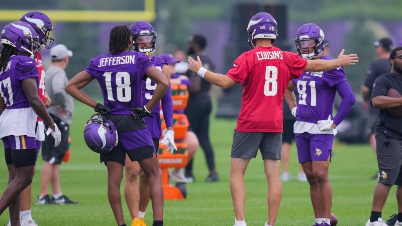 What are fair expectations for the Vikings this year?