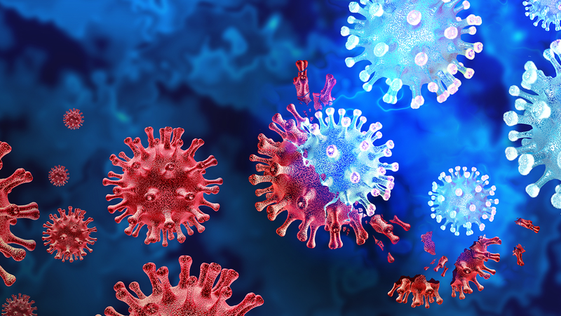 File photo of a microscopic image of the COVID-19 virus.