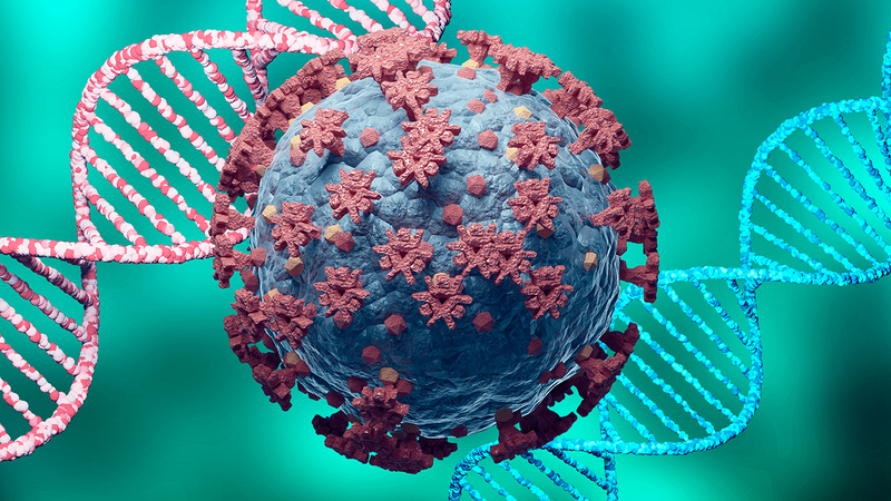 File photo of the SARS-coV-2 virus, which causes COVID-19.