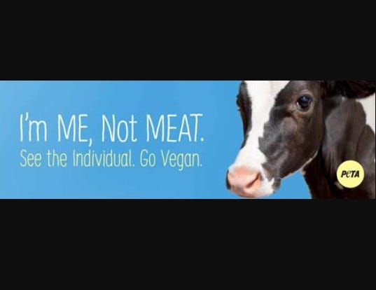 billboard to honor cows killed after freeway crash