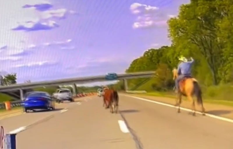 steer loose on I-75