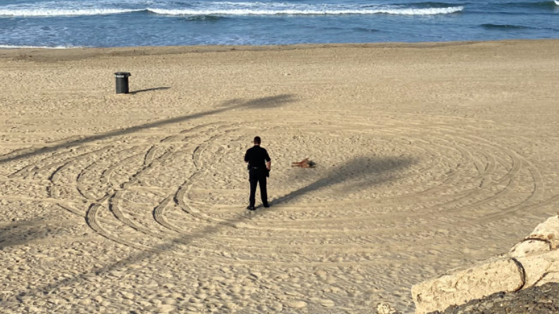 Dead coyote found on Huntington Beach hours after one attacked child