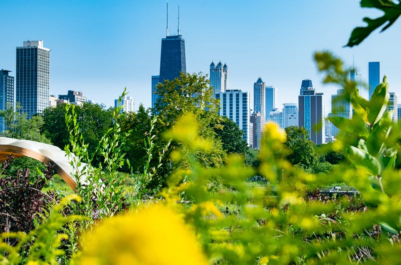 Lincoln Park