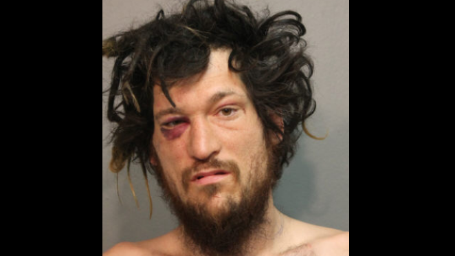 Quincy man charged for allegedly attacking Chicago police officer in Lincoln Park