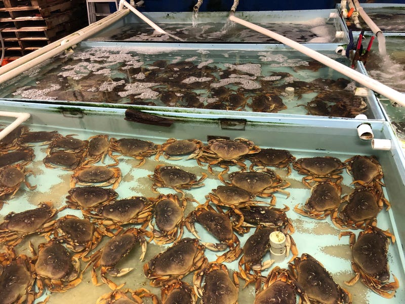 Crab season has been delayed past its usual time of Nov. 15 in the Bay Area.