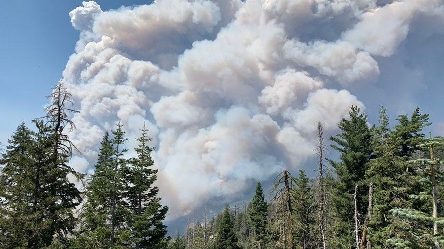 Forest Service Closes All 18 National Forests in CA Due to Wildfires