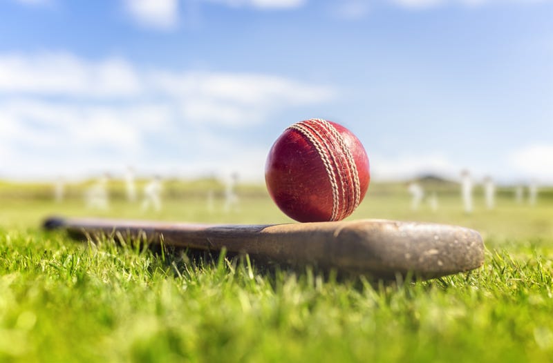 cricket