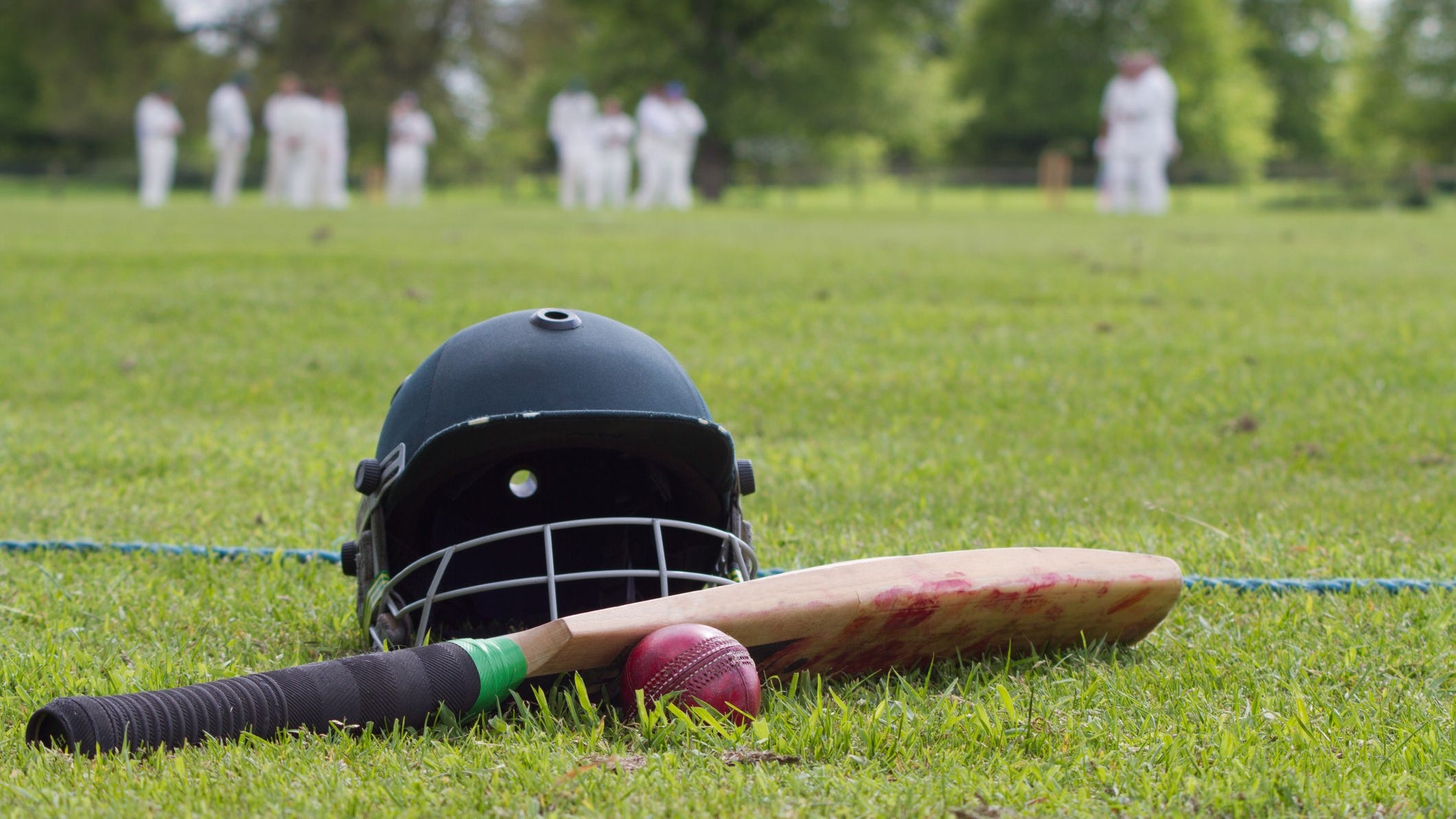 Opponents hope to quash plan for suburban cricket stadium