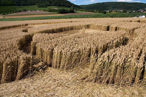 crop circle