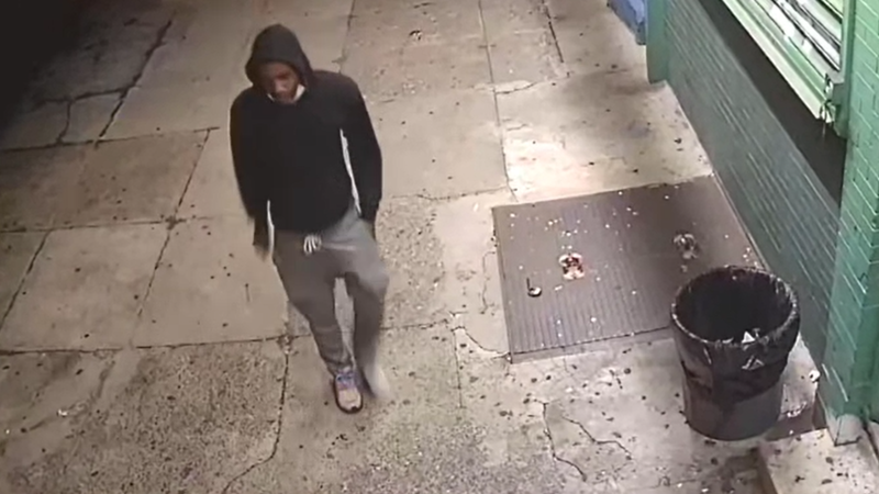 Philadelphia police released a compilation video showing a suspect in a series of armed rapes in Southwest Philadelphia.