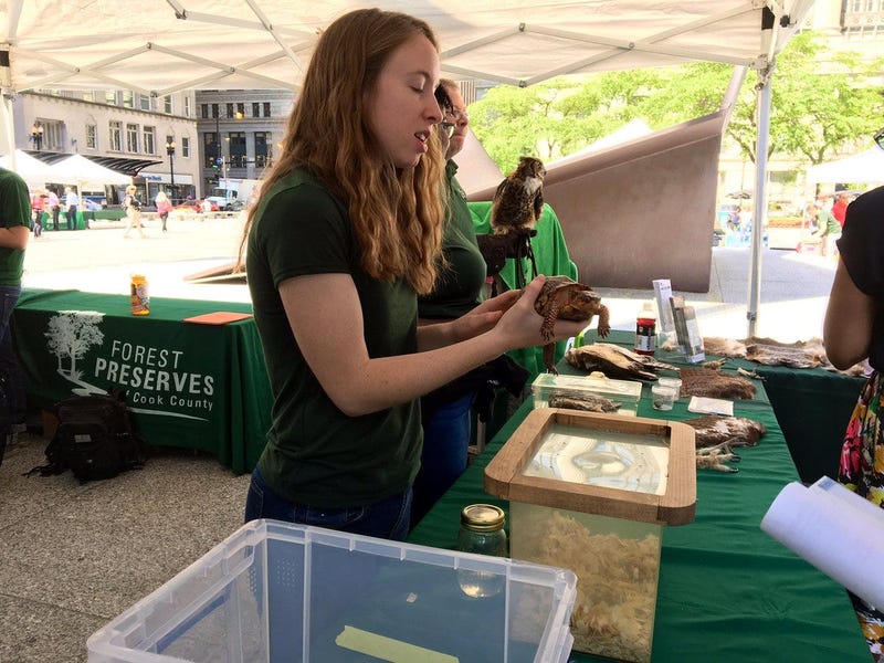 Forest Preserves Host 'Live Healthy, Discover Nature' Event In Daley Plaza