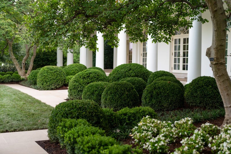 Rose Garden