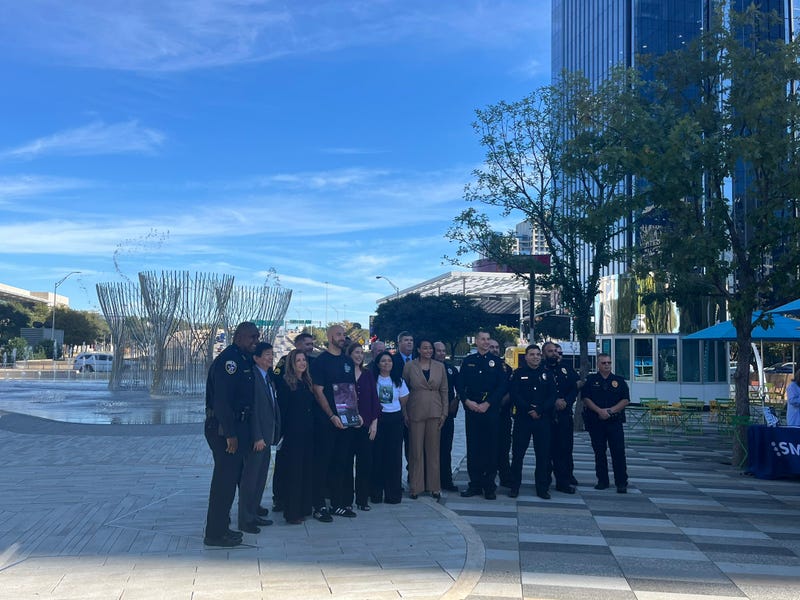 DWI Task Force