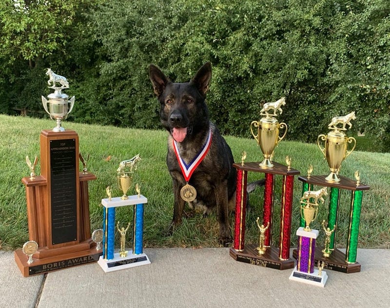 K9 Dax