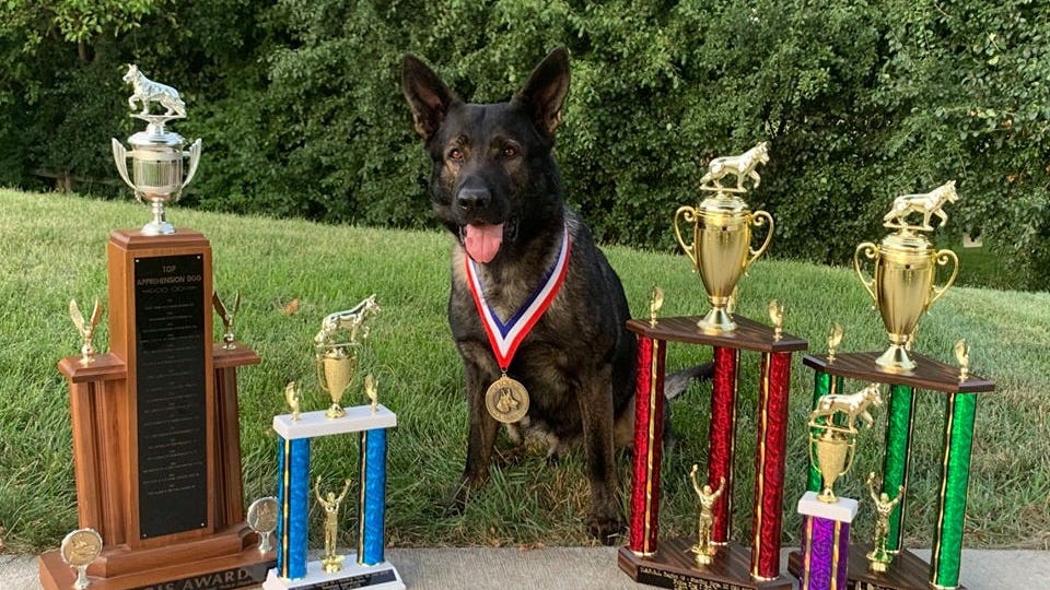 Top Dog: K9 Dax Wins Top Honors, Helps Save Man's Life