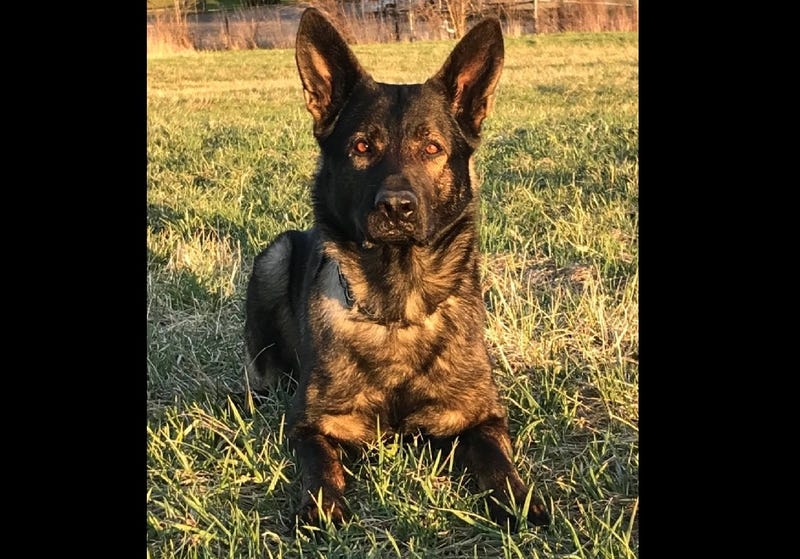 Dax Lake County Sheriff's Office