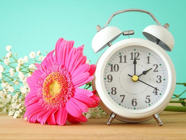 daylight saving time spring forward