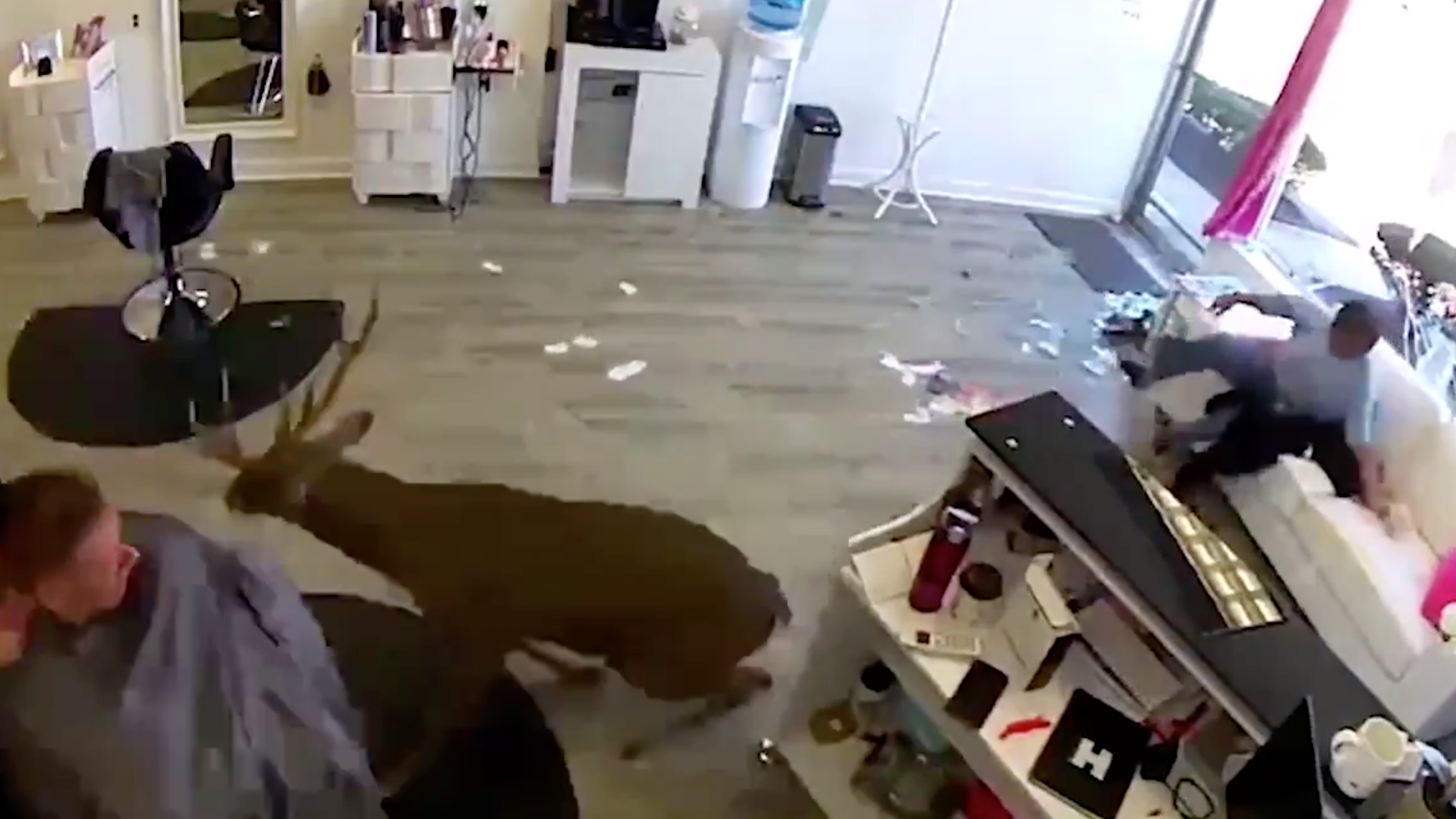 WATCH: Chaos erupts when deer smashes into Long Island hair salon