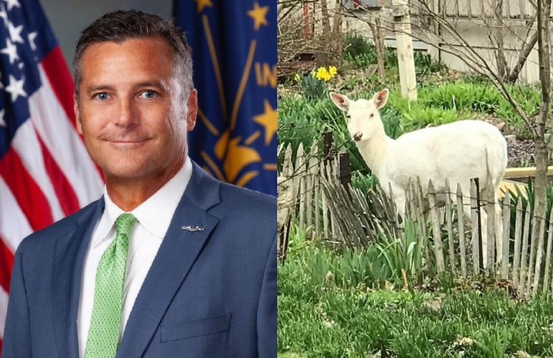 Hammond Mayor Thomas McDermott Jr and a, albino deer, known as "Snow," the latter of which was spotted for years in northwest Indiana.