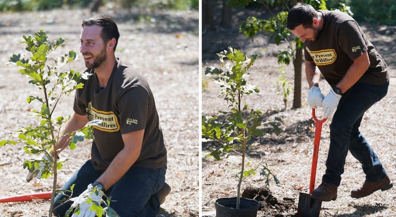 Paul DeJong planting trees